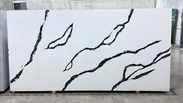 White Panda - Image 2